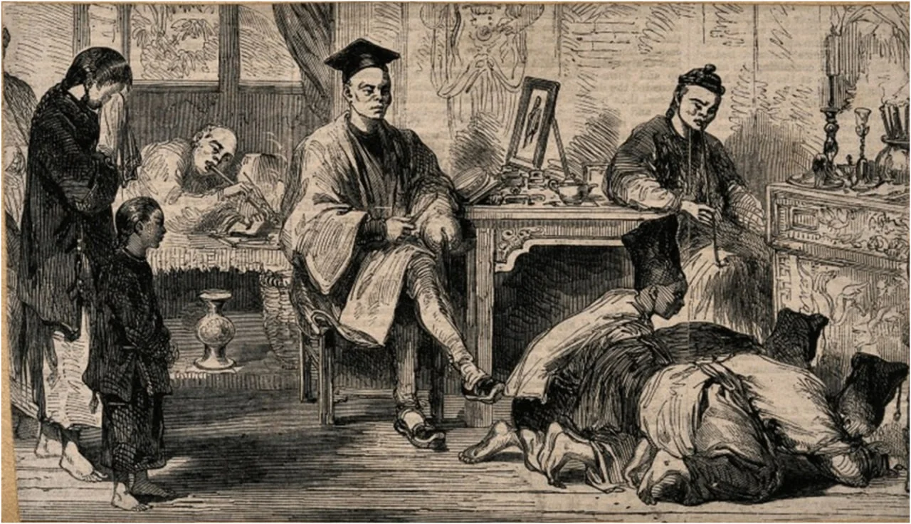 Image5