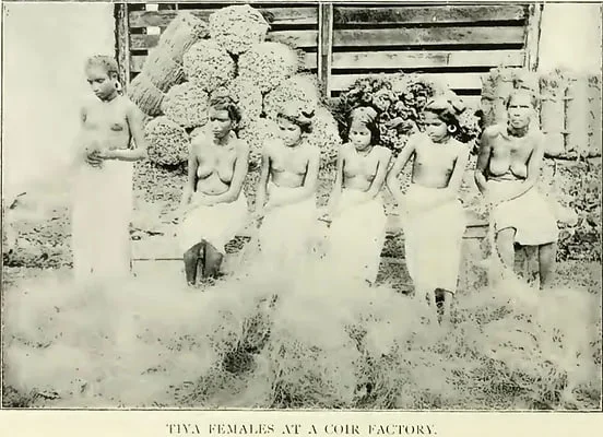 Image6